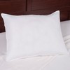 Hastings Home Down and White Duck Feather Pillow for Sleeping |100 Percent Cotton Cover for Pillowcases | Standard 741836GVW